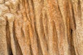 Background texture cave stone curtain photo of stalactite cavern