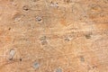Background texture Cement floor