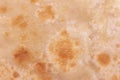 background texture chapatti, tortilla, fried in oil in a pan. top view, close up.