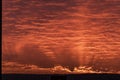 Background with the texture of clouds at sunset. Royalty Free Stock Photo