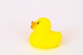 Background texture colorful animal stuffed yellow duck toy for children playing in water