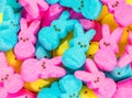 Background texture-colorful Easter marshmallow peeps