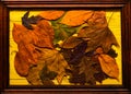 Background texture concept. Autumn colorful leaves on wooden texture in frame. Maple and oak dried leaf lay on yellow