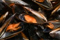 Background texture of cooked fresh mussels Royalty Free Stock Photo