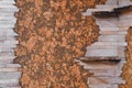 Background and Texture of Cork Board Wood Surface and stone tiles, Nature Product Industrial. interior in the corner. Royalty Free Stock Photo