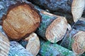 background with texture of cut and stacked pine wood Royalty Free Stock Photo
