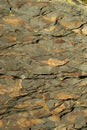 Background, texture - dark brown layered natural rock with light brown spots