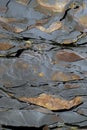 Background, texture - dark brown layered natural rock with light brown spots