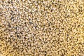 Background texture of dried black-eyed peas or beans Royalty Free Stock Photo