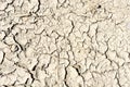 Background and texture of dried and cracked brown mud Royalty Free Stock Photo