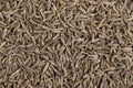 Background Texture of Dried Cumin Seeds