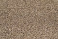 Background Texture of Dried Cumin Seeds