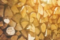 Background texture of dried cut and split logs Royalty Free Stock Photo