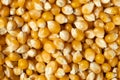 Background texture of dried organic maize seeds, raw yellow corn kernels for popcorn Royalty Free Stock Photo