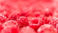 Background texture of dripping raspberry. Royalty Free Stock Photo