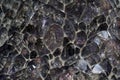 Background, texture - druse of untreated amethyst crystals