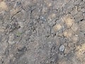 Background and texture: Dry cracked soil Royalty Free Stock Photo