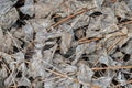 Background texture of dry old leaves piled in a pile