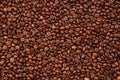Background texture of evenly roasted coffee beans, top view Royalty Free Stock Photo