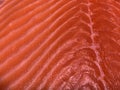 Background texture: fillet of red fish. Red fish in a cut, on a shelf in a store. Sliced pieces of salmon Royalty Free Stock Photo