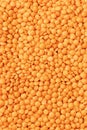 Background texture fine yellow lentils, legumes