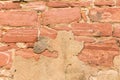 Flaking plaster on an old brick wall