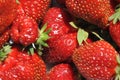 Background or texture with fresh organic strawberries from garden