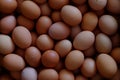 fresh raw chicken eggs Royalty Free Stock Photo