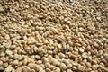 Background texture of fresh raw dried coffee beans to be roasted Royalty Free Stock Photo