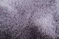 Background and texture of the fur macro image, artificial fabric