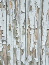 Background texture gray broken paint on old garage wooden door Royalty Free Stock Photo