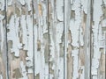 Background texture gray broken paint on old garage wooden door Royalty Free Stock Photo