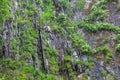 Background texture of a gray brown stone on the rock of the mountain discovered during archaeological excavations as a monument to