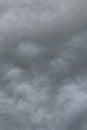 Background, texture of gray clouds, sky. Royalty Free Stock Photo