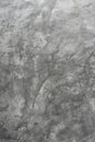 Background texture of a gray wall micro-cement Royalty Free Stock Photo
