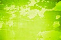 Background textureÃ¢â¬â¹ of green old zinc