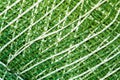 The background, texture of green and white plastic mesh Royalty Free Stock Photo