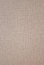 Background texture cream beige fine pattern mixed paper texture. abstraction