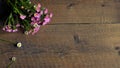 Background texture of grunge wood board and little pink flowers.