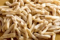 Background texture of handmade caserecce pasta Royalty Free Stock Photo