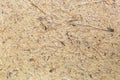 Background texture of handmade rice paper made of paper mulberry Royalty Free Stock Photo