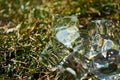 Background or texture of ice cubes melting under sun on the green lawn. Royalty Free Stock Photo