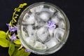 Background texture iced ,water in glass with purple flower decoration postcard style on black Royalty Free Stock Photo