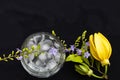 Background texture iced ,water in glass with purple flower, yellow flowers ylang ylang Royalty Free Stock Photo