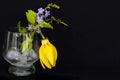 Background texture iced ,water in glass with purple flower, yellow flowers ylang ylang Royalty Free Stock Photo