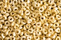 Background texture of Italian tortellini pasta