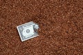 The background texture of a large pile of buckwheat, in the middle of which you see a bill of one US dollar. The concept of highe