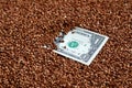 The background texture of a large pile of buckwheat, in the middle of which you see a bill of one US dollar. The concept of highe