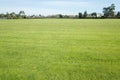 Background texture of a large public local park with green and healthy grass and with some trees and residential houses in the