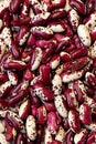 Background texture large red-and-white beans, legumes Royalty Free Stock Photo